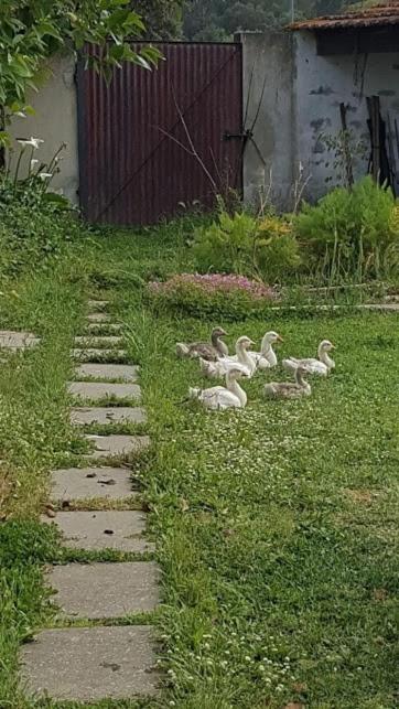 Séjour chez l'habitant Granja Mg Bombarral